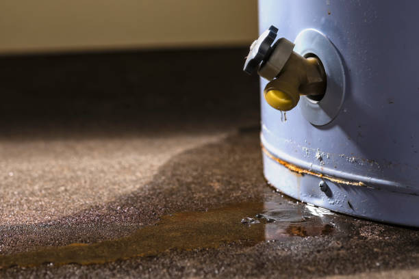 Best Professional water damage repair  in Palacios, TX