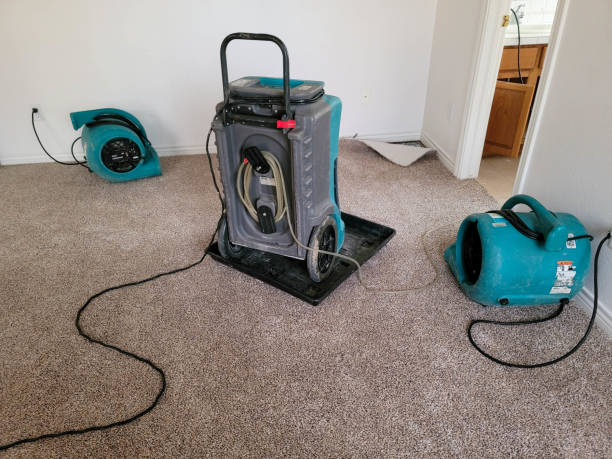 Water damage restoration insurance claims in Palacios, TX