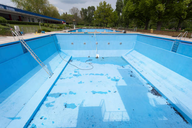 Best Flood restoration services  in Palacios, TX