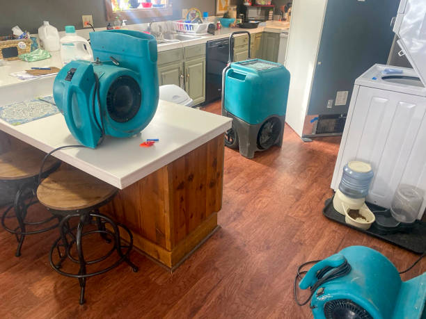 Best Water damage restoration near me  in Palacios, TX