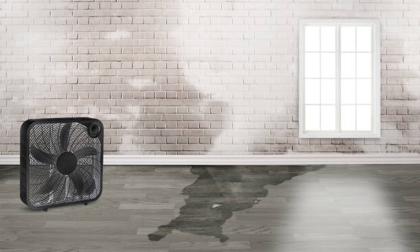 Best 24-hour water damage restoration  in Palacios, TX