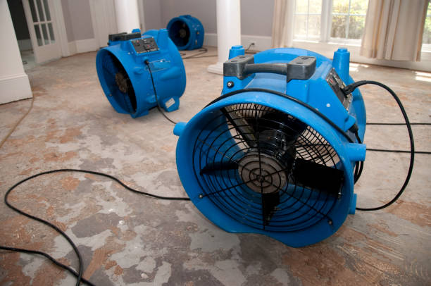 Best Fire Damage Restoration  in Palacios, TX
