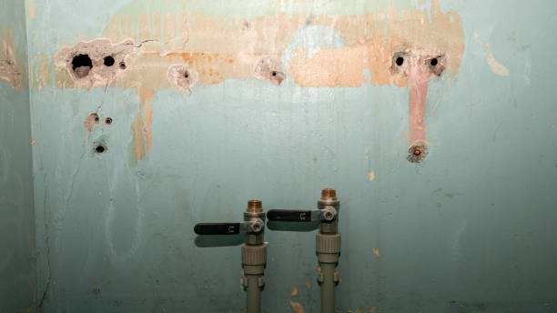 Best Flood restoration services  in Palacios, TX