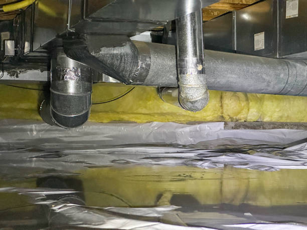 Best Sewage cleanup and water damage restoration  in Palacios, TX