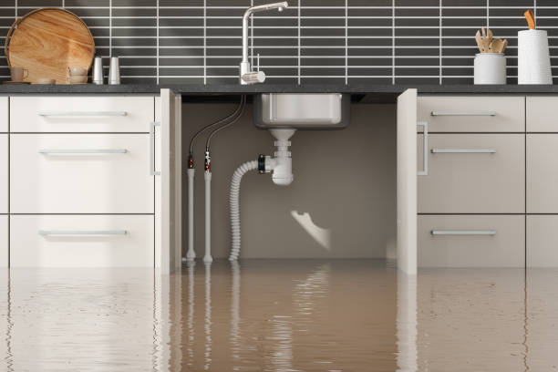 Best Commercial water damage restoration  in Palacios, TX