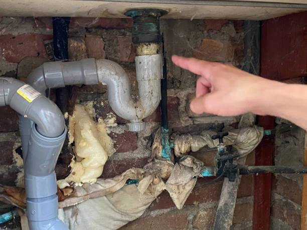 Best 24-hour water damage restoration  in Palacios, TX