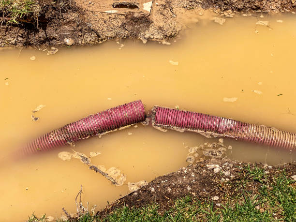 Best Residential water damage restoration  in Palacios, TX